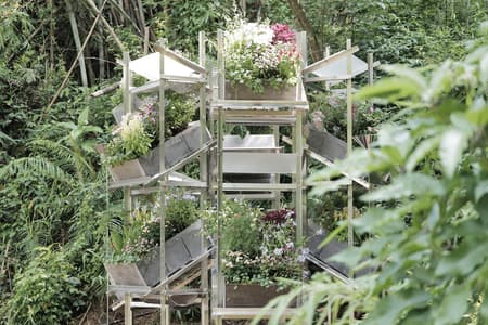 Flower Room